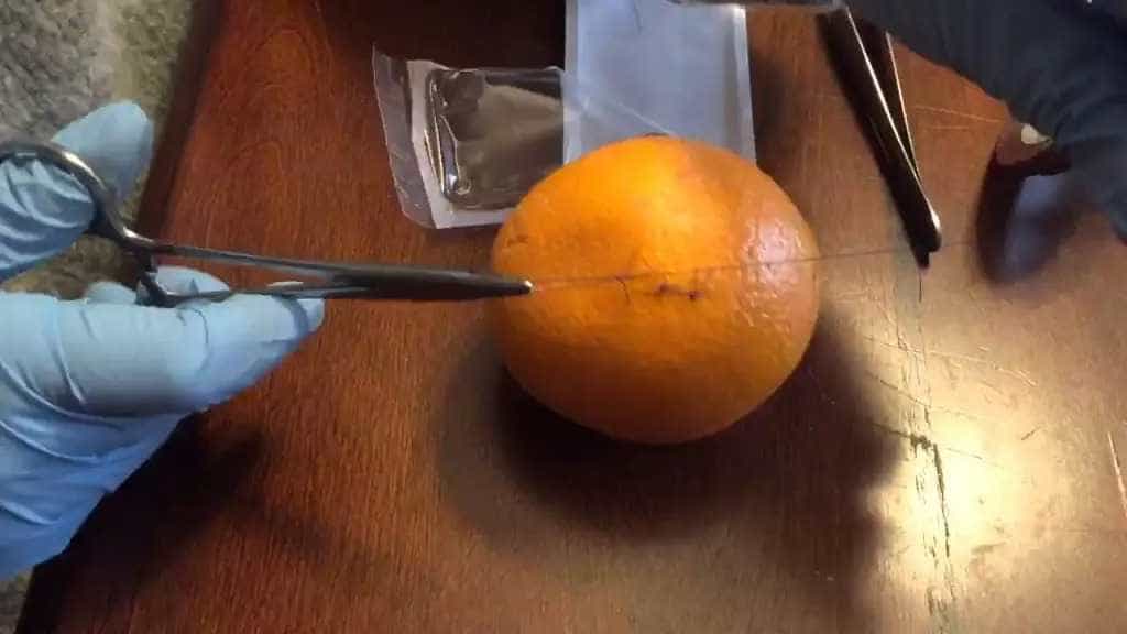Hands practising suturing on an orange 